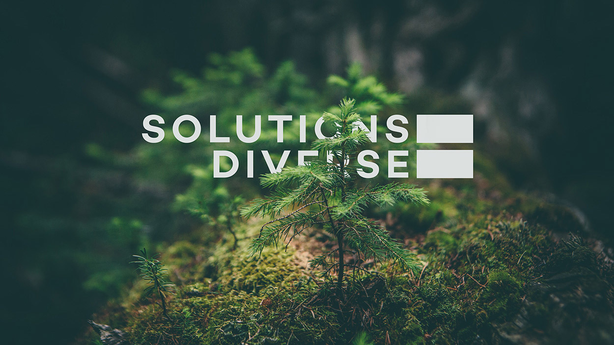 Solutions Diverse Sustainability